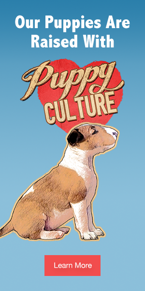 Raised with puppy culture