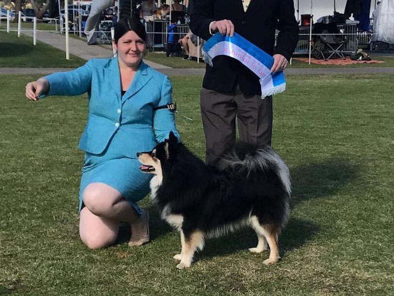 Squiggle winning Neuter In Show at Victorian Women's Dog Club